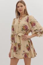 Raelyn Dress