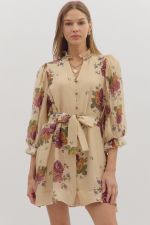 Raelyn Dress
