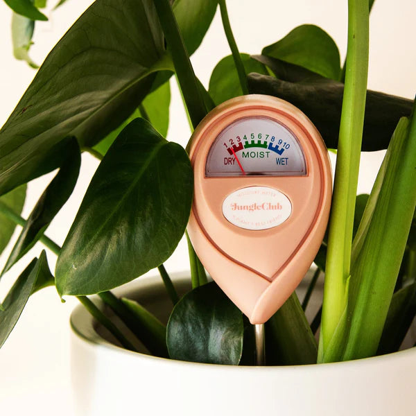 Jungle Club Plant Moisture Meter