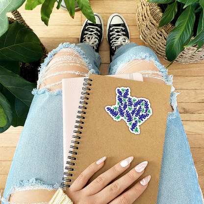 Texas State Bluebonnet Sticker