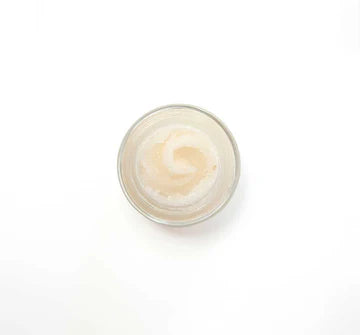 FarmHouse Fresh Beach Punch Lip Polish
