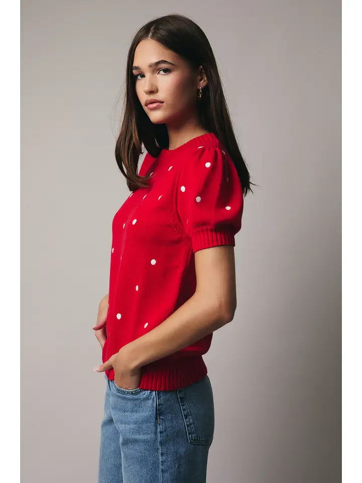 Danielle Sweater Top