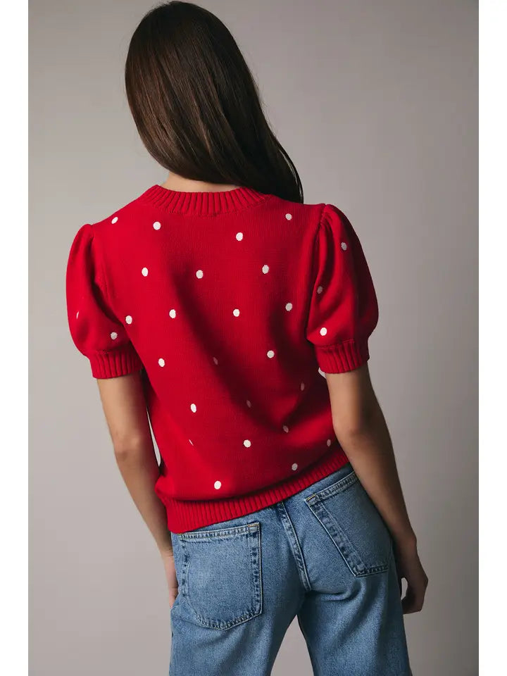 Danielle Sweater Top