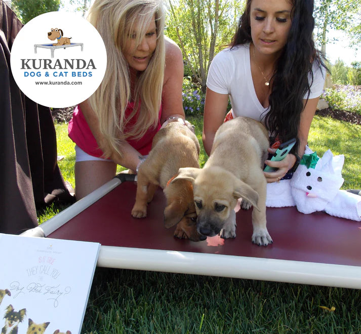 FarmHouse Fresh Dog Bed Fairy Non-Profit Donation Book