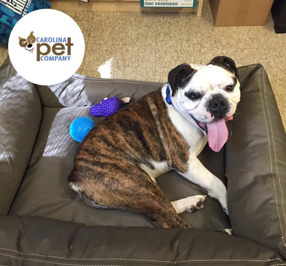 FarmHouse Fresh Dog Bed Fairy Non-Profit Donation Book