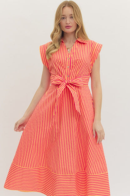 Starling Stripe Dress