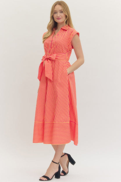 Starling Stripe Dress