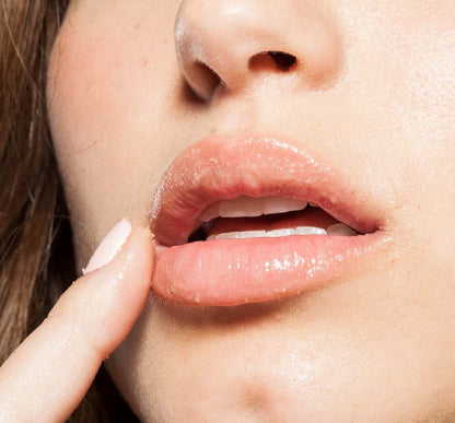 FarmHouse Fresh Whoopie! Lip Polish