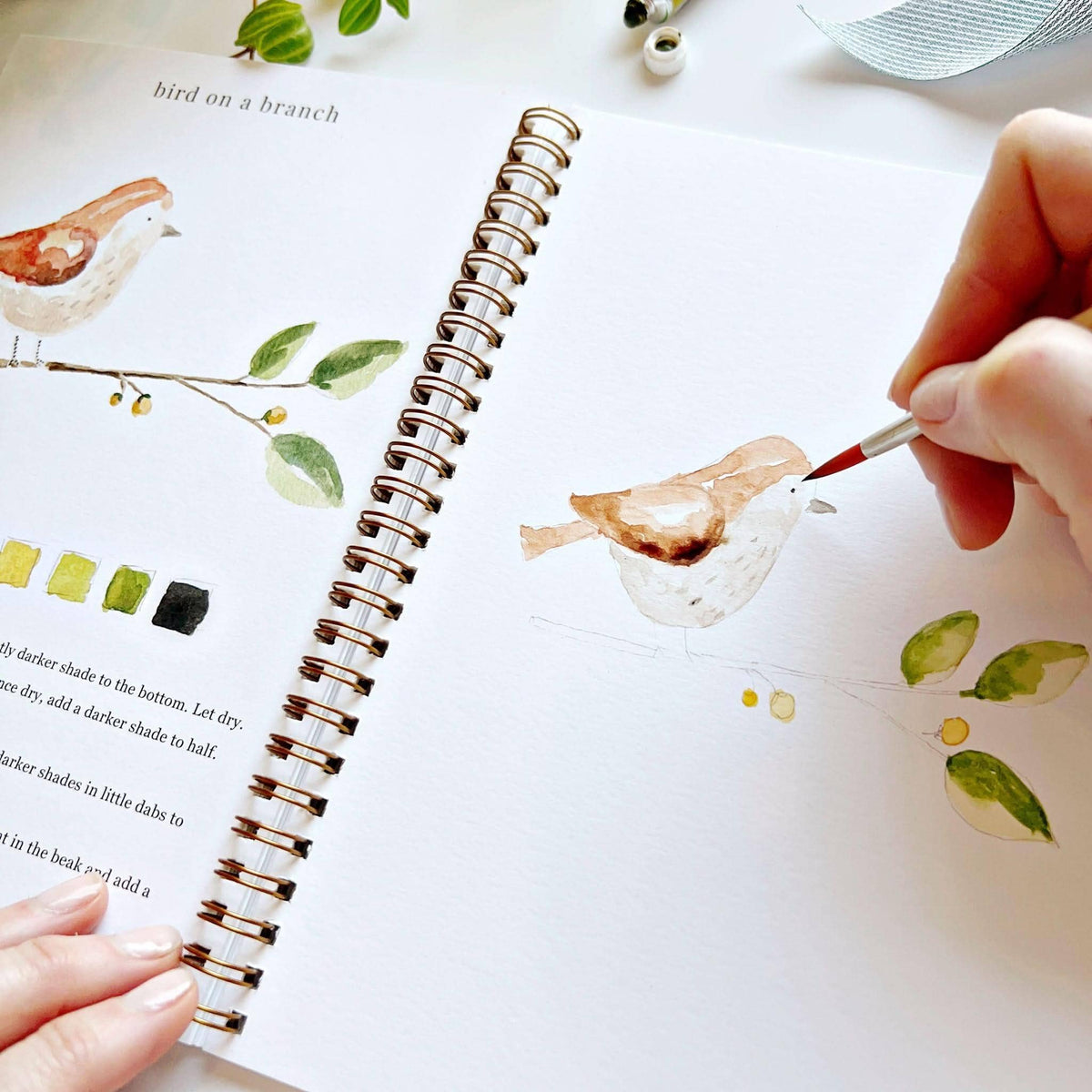 Emily Lex Animals Watercolor Workbook