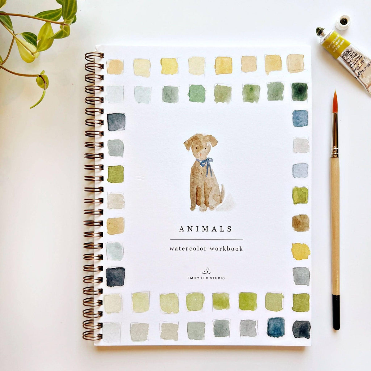 Emily Lex Animals Watercolor Workbook