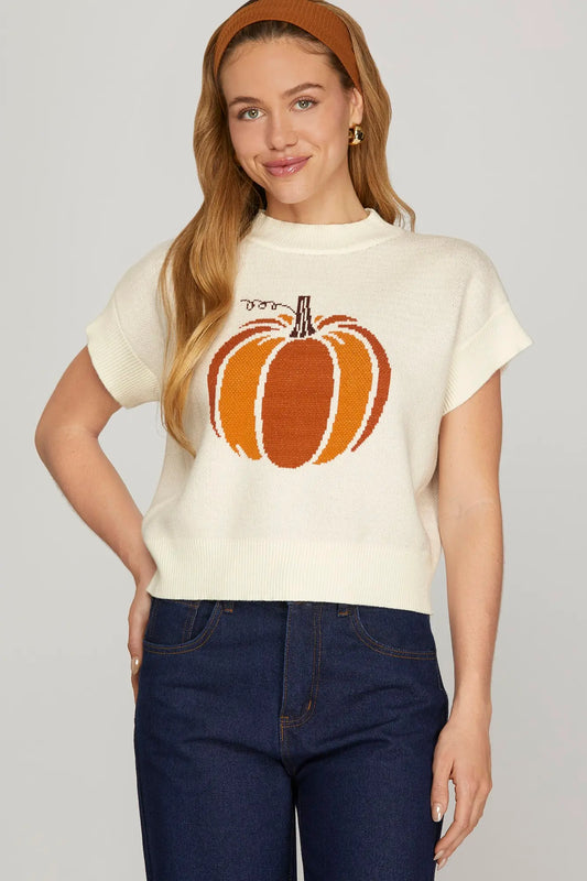 Pumpkin Spice Sweater Top